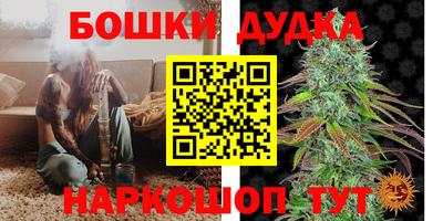 гидропоника Ставрополь