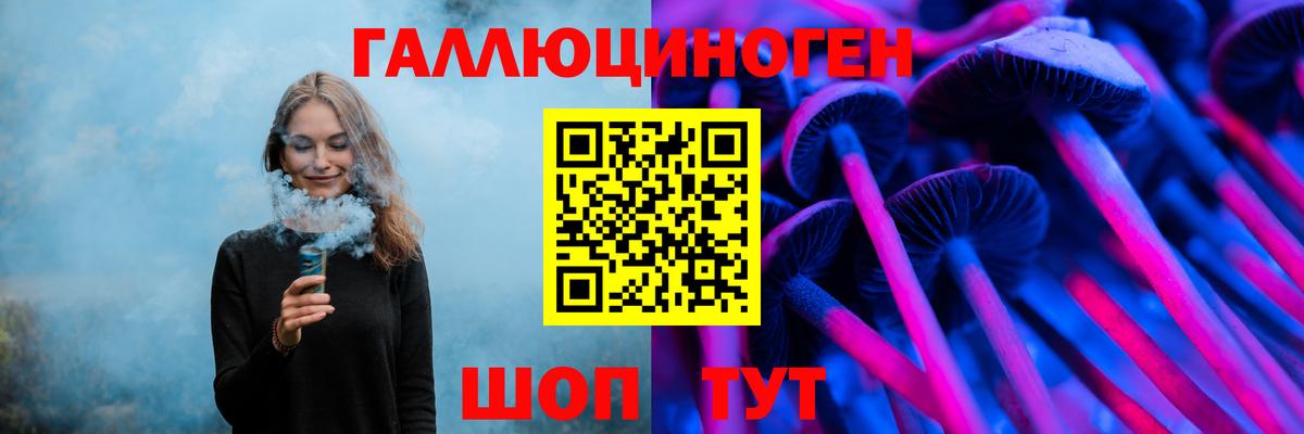 Псилоцибиновые грибы Psilocybine cubensis  Вход с VPN  Протвино 